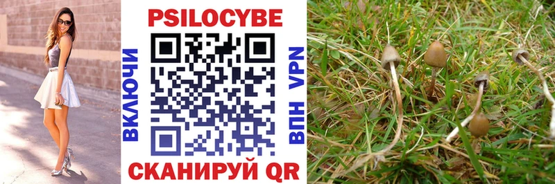 Купить закладки  Полтавская  Псилоцибиновые грибы Cubensis 